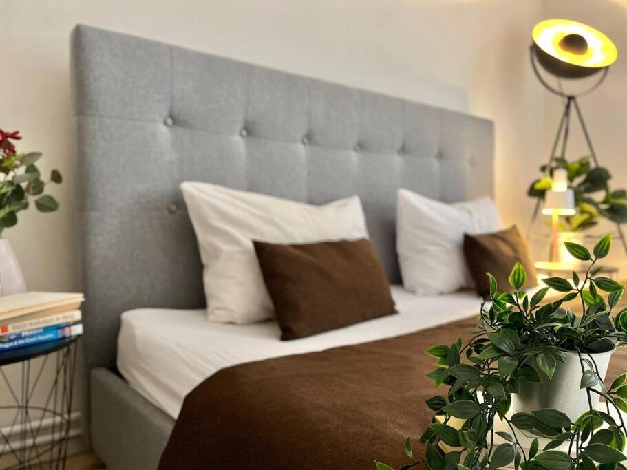 Beautiful New Town Apartment — Fotky 2