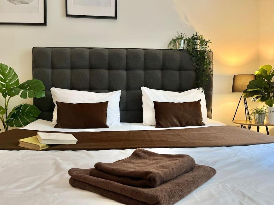 Beautiful New Town Apartment — Fotky 1