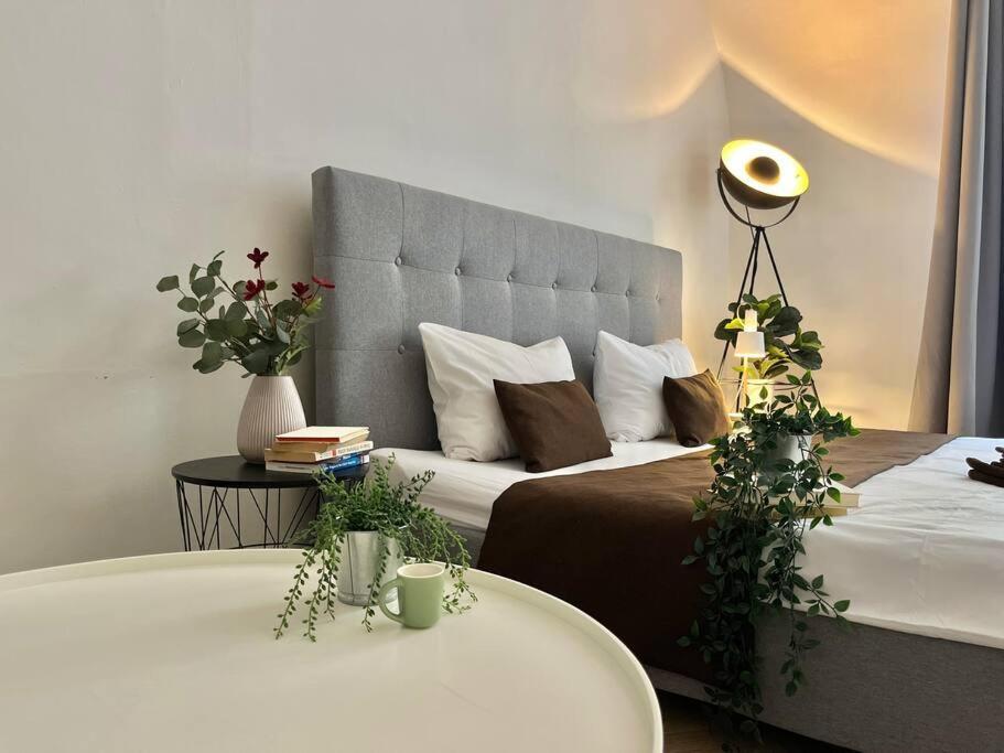 Beautiful New Town Apartment, Prague